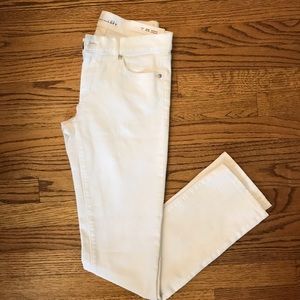 NWT Loft White Jeans
